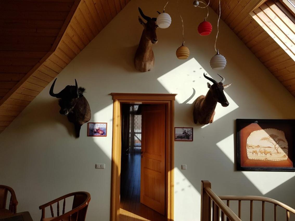 Apartamentai Hunter House Druskininkai Ngoại thất bức ảnh