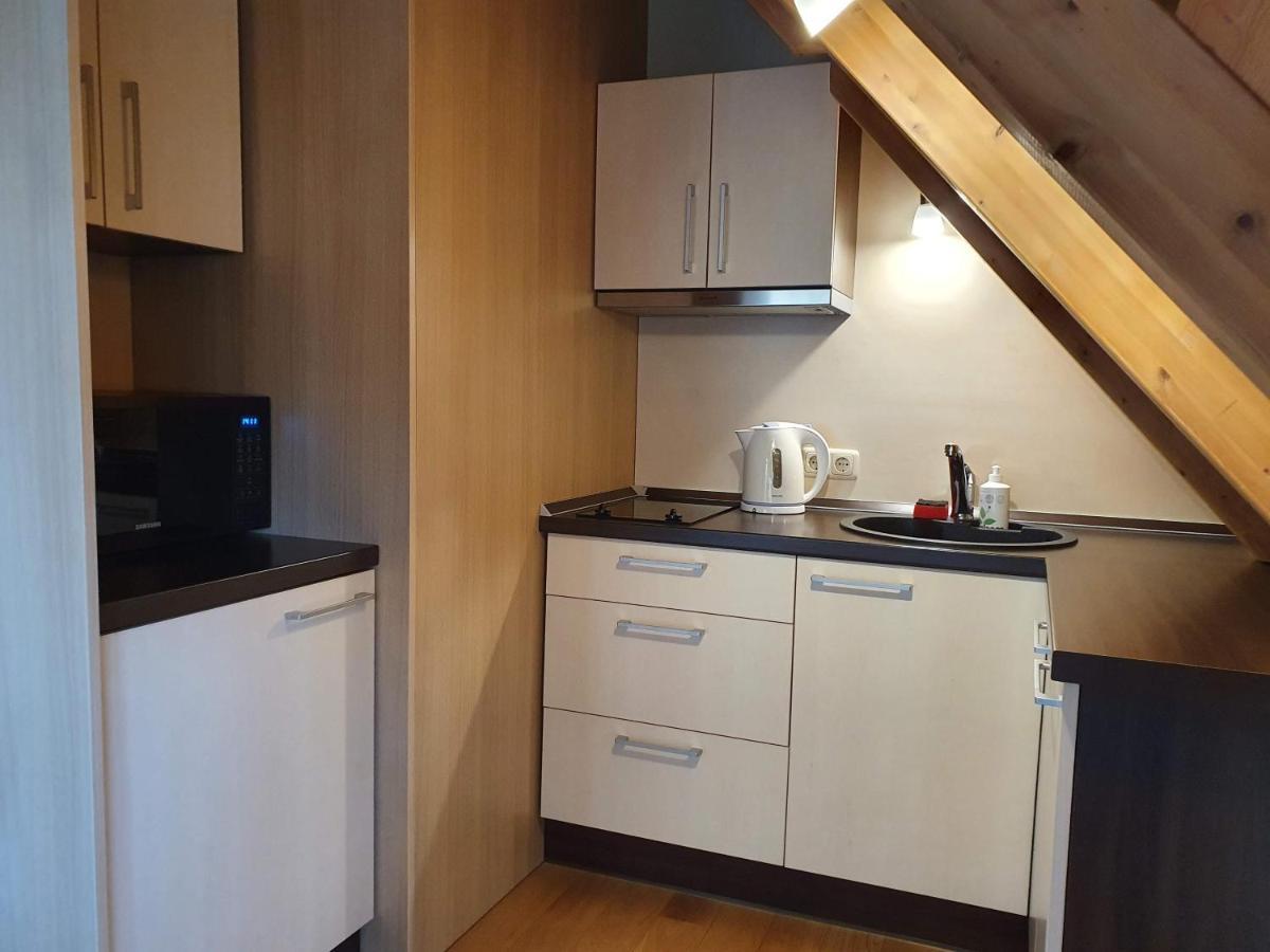 Apartamentai Hunter House Druskininkai Ngoại thất bức ảnh